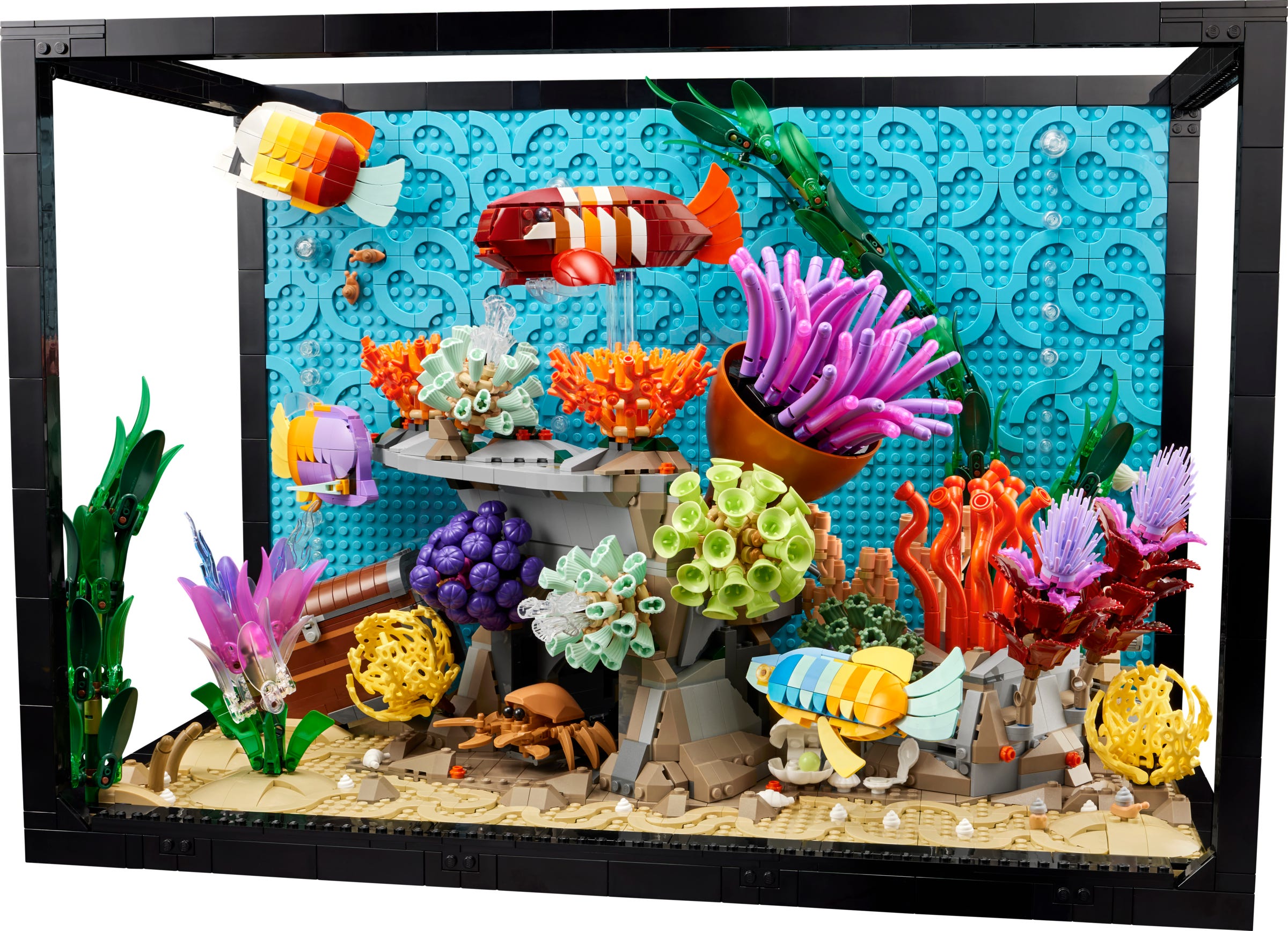 Tropisch aquarium