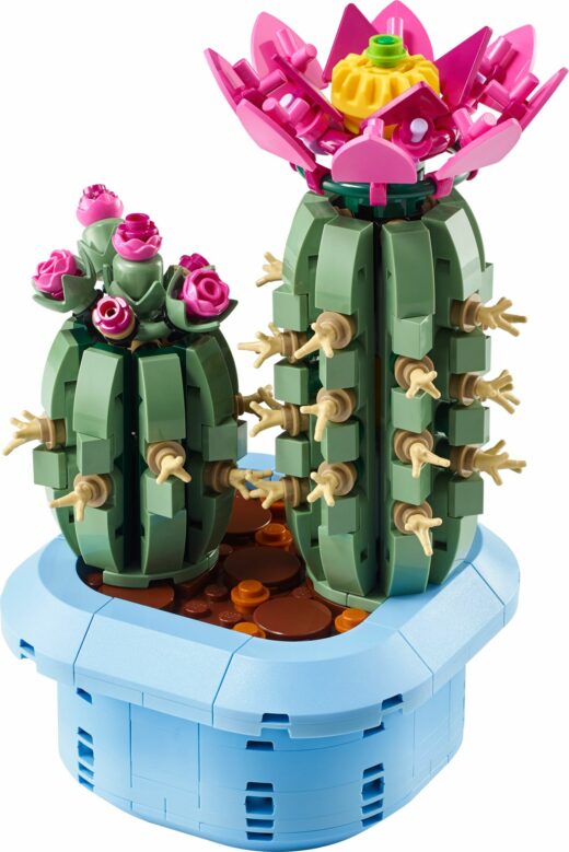 Bloeiende cactus