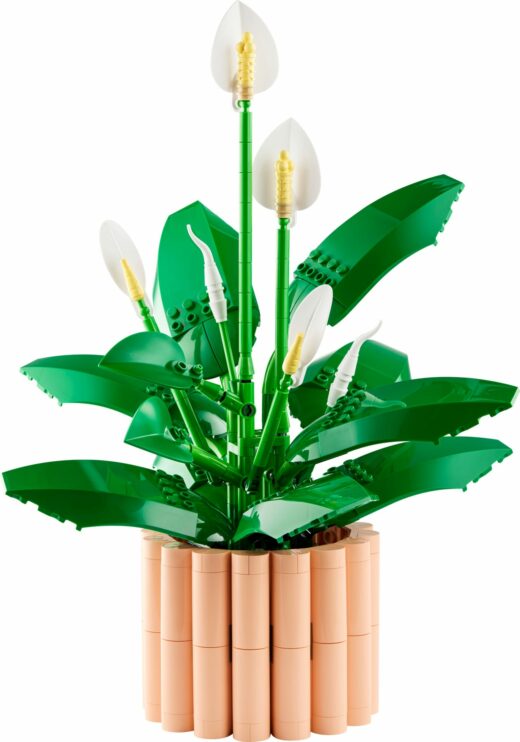 Lepelplant