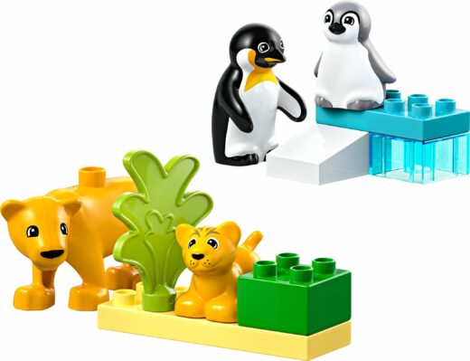Families van wilde dieren: pinguïns en leeuwen