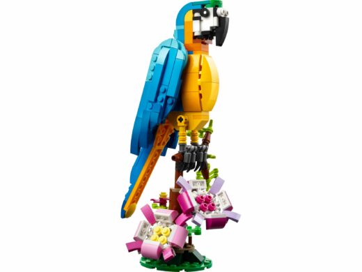 Exotische papegaai