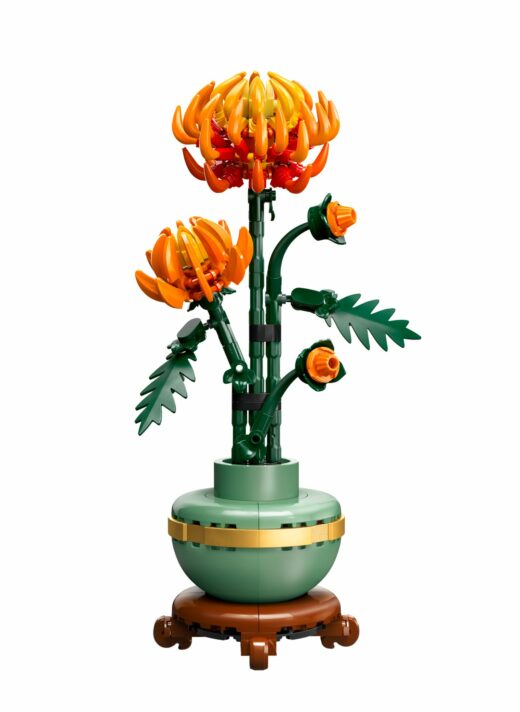 Chrysant