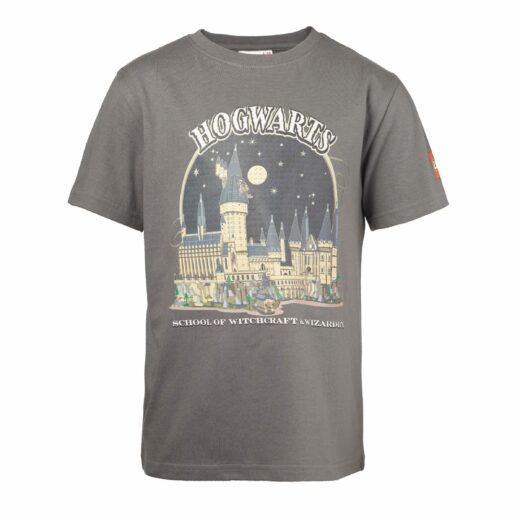 Harry Potter T-shirt - grijs