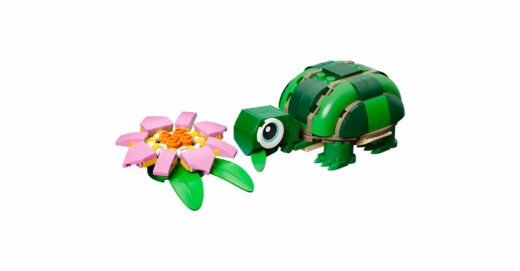 Schildpad met waterlelie