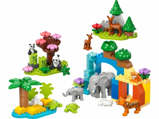 3-in-1 families van wilde dieren
