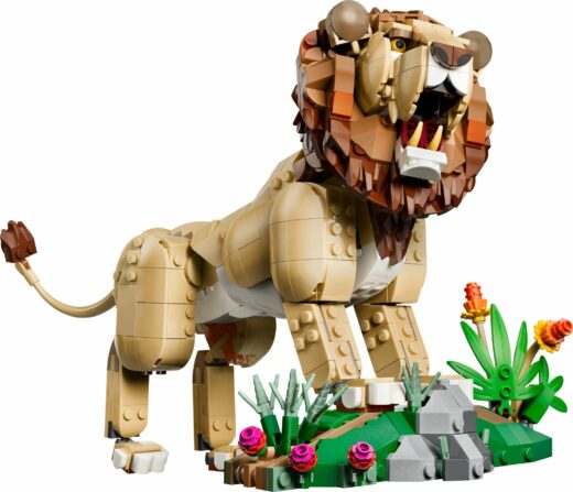 Wilde dieren: majestueuze leeuw