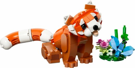 Schattige dieren: rode panda