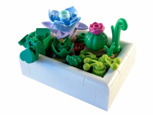 Mini woestijntuin
